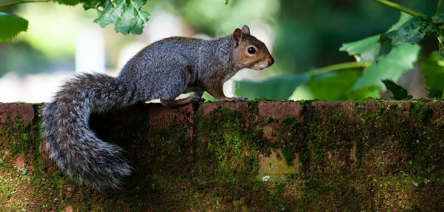 Queen’s scientists unveil new tool to measure invisible ecosystem ...