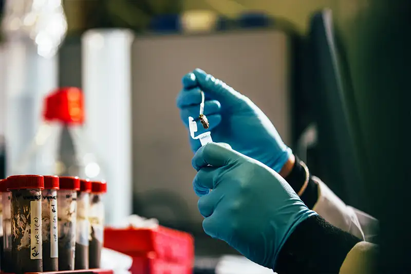 Wellcome-Wolfson Institute For Experimental Medicine | Queen's ...