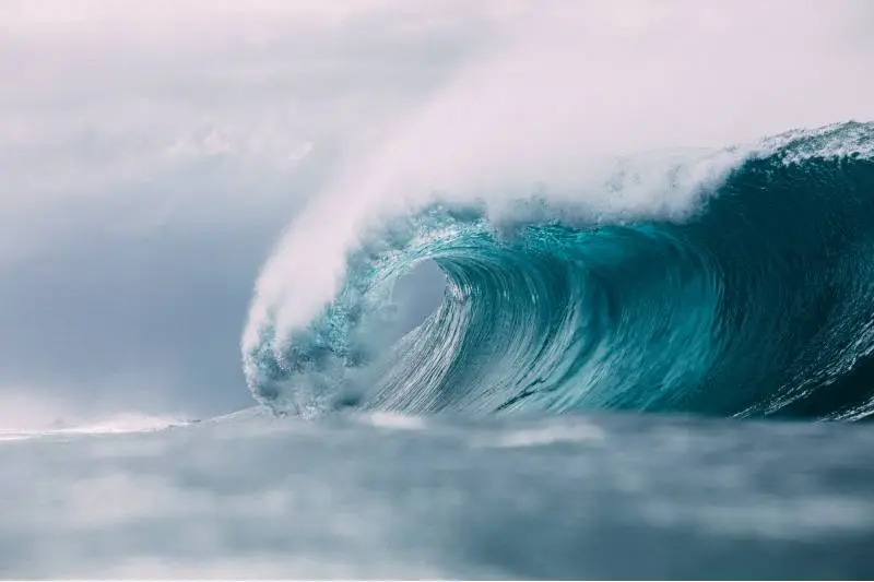 Development of a new class of Wave Energy Converter based on ...